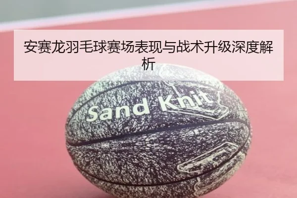 安赛龙羽毛球赛场表现与战术升级深度解析